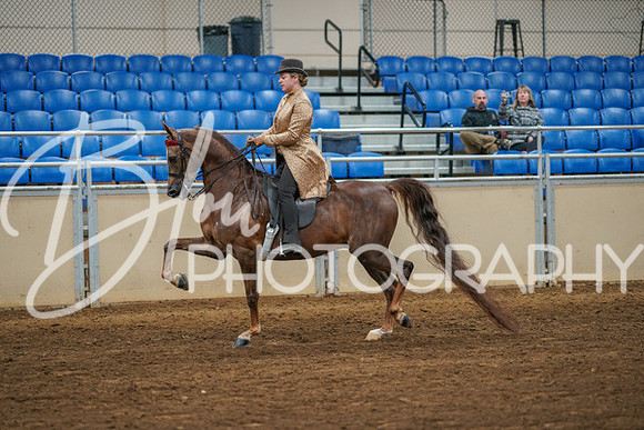 Aurora Show June 8, 2024  - 02531