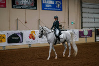 130 - ARABIAN Sport Horse Show Hack Open