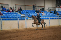 262 MORGAN Classic Pleasure Open Stake