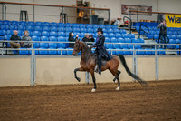 Aurora Show June 8, 2024  - 02509