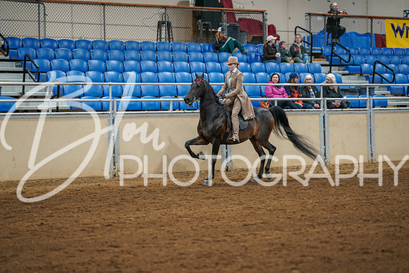 Aurora Show June 8, 2024  - 00976
