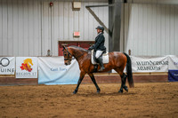 241 Region 17 HA/AA Sport Horse Under Saddle Jr Horse Championship