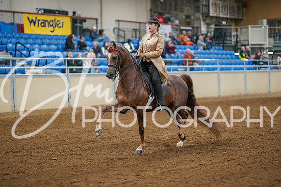 Aurora Show June 8, 2024  - 00962