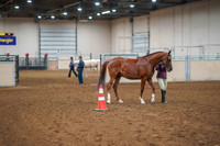 Aurora June 6, 2025 - 0230
