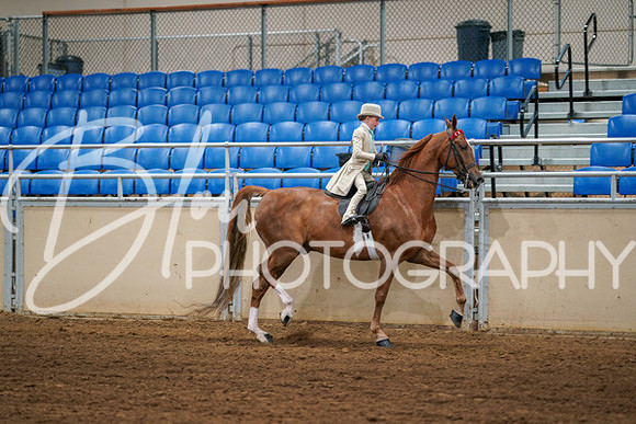 Aurora Show June 6, 2024  - 03877