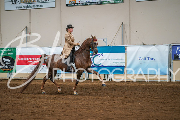Aurora Show June 8, 2024  - 02597