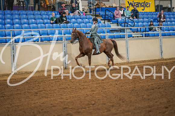 Aurora Show June 7, 2024  - 02592