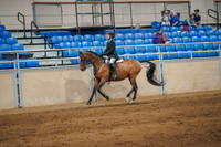 261 ACADEMY Walk/Trot/Canter All Disciplines, All Ages