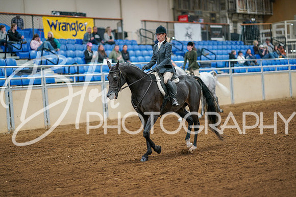 Aurora Show June 6, 2024  - 04192