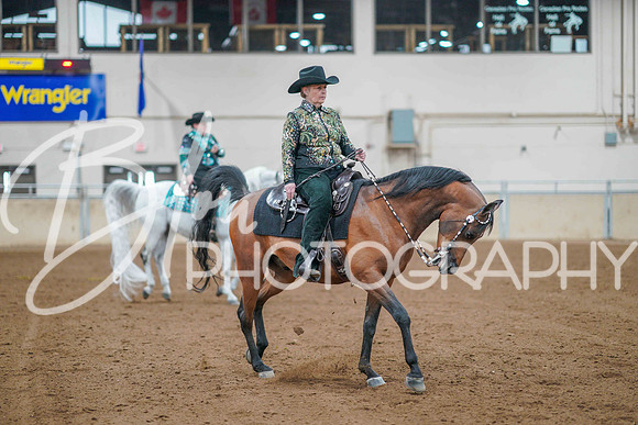 Aurora June 7, 2025 - 0498