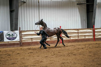 382A Region 17 HA/AA Yearling Fillies ATH Championship