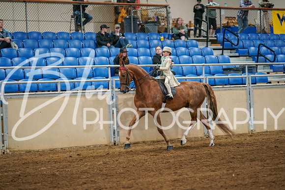 Aurora Show June 6, 2024  - 03869
