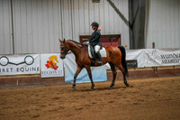238 Region 17 Arabian Sport Horse Under Saddle Championship