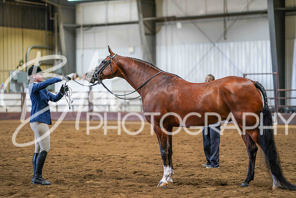 Region 17 July 11, 2025 - 1600