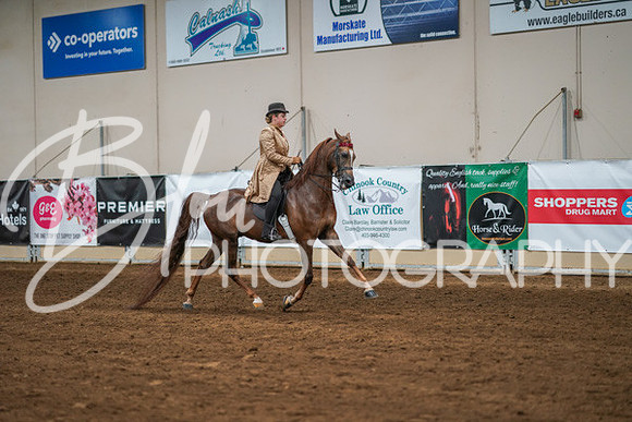 Aurora Show June 8, 2024  - 02590
