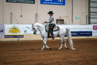 Aurora Show June 6, 2024  - 03772