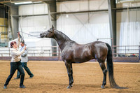 Region 17 July 11, 2025 - 0021