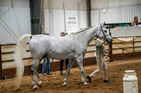 003 - Hunter type in hand first half
