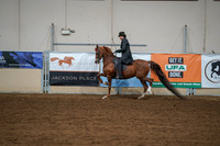 Aurora Show June 6, 2024  - 04759