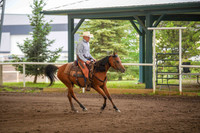 265A Region 17 Arabian Ranch Horse Riding Jr Horse Championship