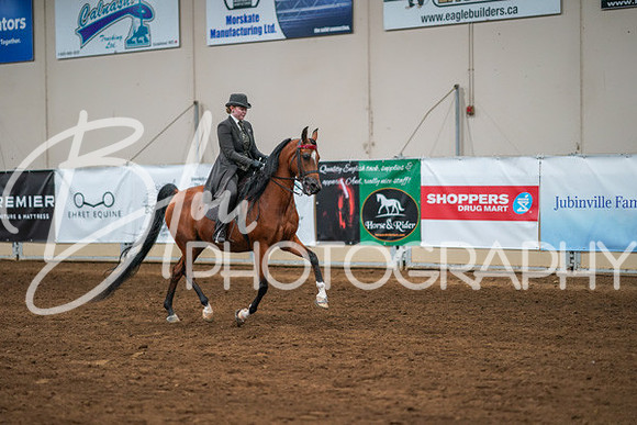Aurora Show June 8, 2024  - 02587