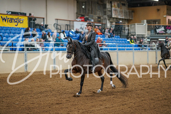 Aurora Show June 8, 2024  - 00968