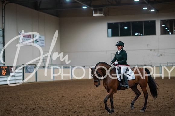 Aurora June 6, 2025 - 1324