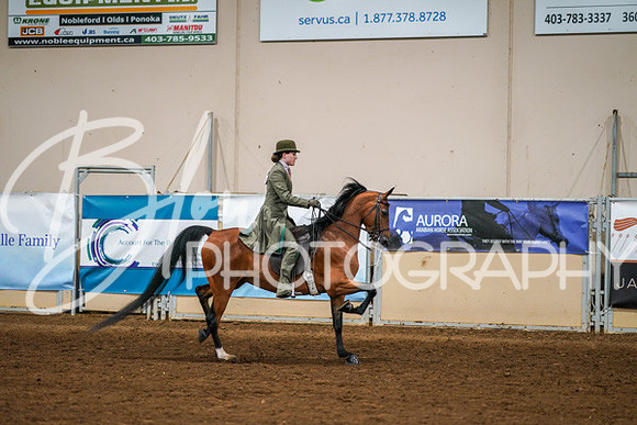 Aurora Show June 8, 2024  - 02579