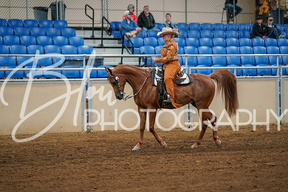 Aurora Show June 6, 2024  - 03769