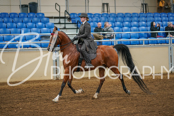 Aurora Show June 8, 2024  - 02559