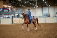 2 -All Breed English Pleasure, Jr/Limit Horse (will split if entries warrant)