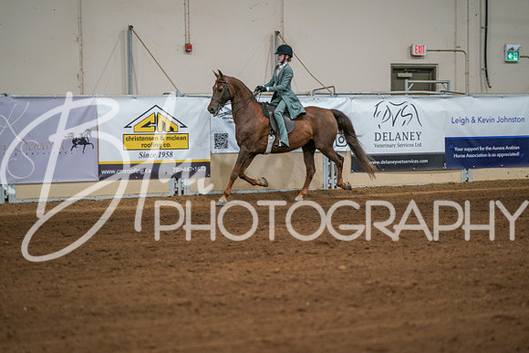 Aurora Show June 7, 2024  - 02566