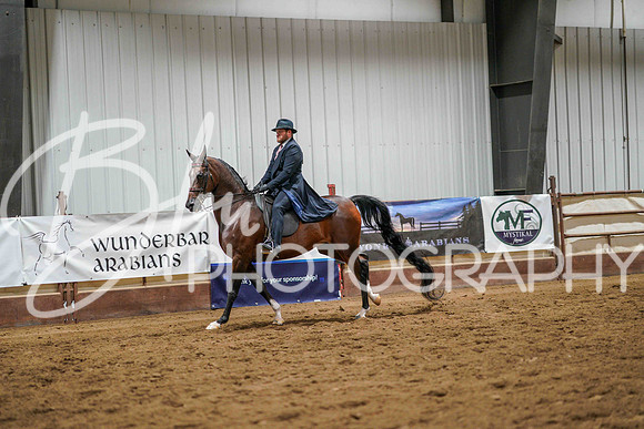 Region 17 July 10, 2025 - 3993