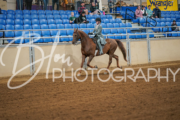 Aurora Show June 7, 2024  - 02593
