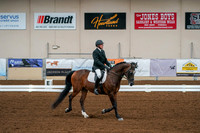 Aurora Show June 6, 2024  - 00927