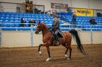 Aurora Show June 8, 2024  - 02504