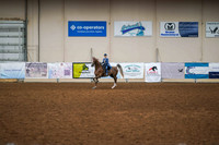 138 - AMERICAN SADDLEBRED Park Pleasure Jr or Limit Horse