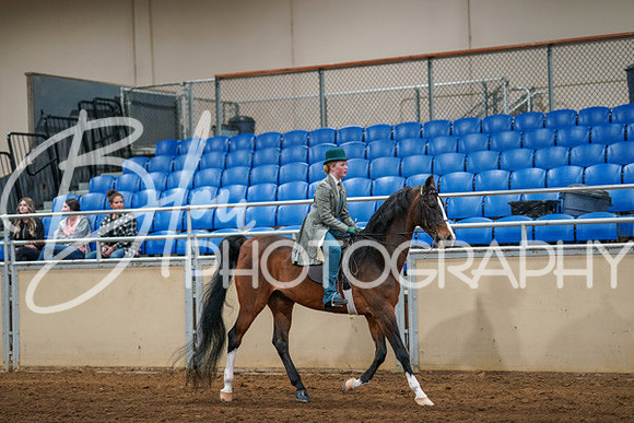 Aurora Show June 6, 2024  - 03902