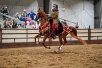 Horse Shows