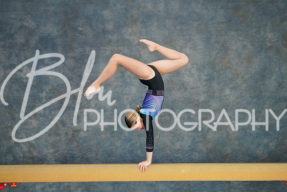 Airdrie Edge Gymnastics Feb 2, 2025 - 0169