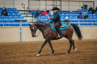 205 ALL BREED Western Pleasure Amateur