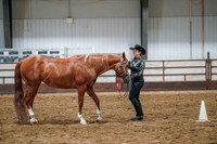 271 Region 17 A/HA/AA Showmanship AATH 19 yrs & Over Championship