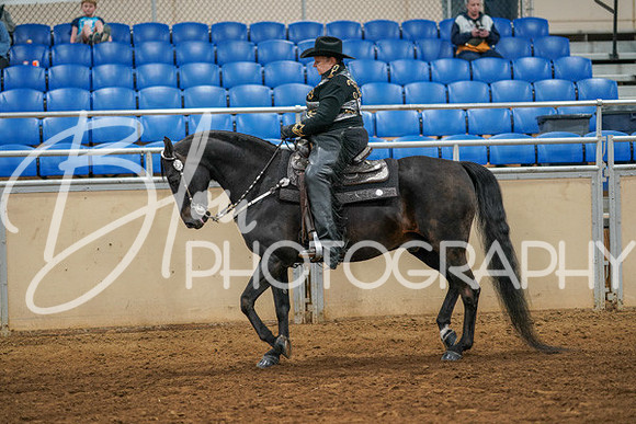 Aurora Show June 7, 2024  - 05463