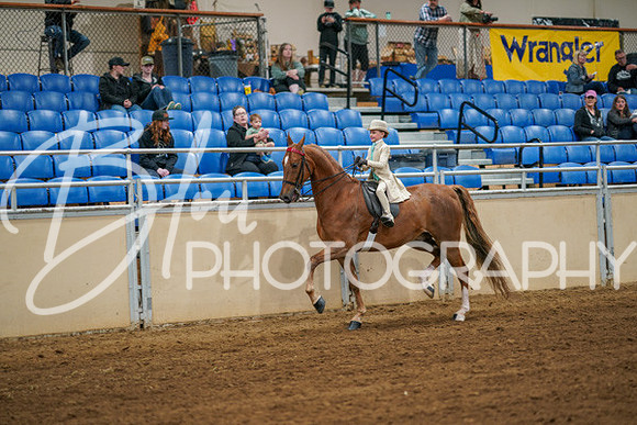 Aurora Show June 6, 2024  - 03867