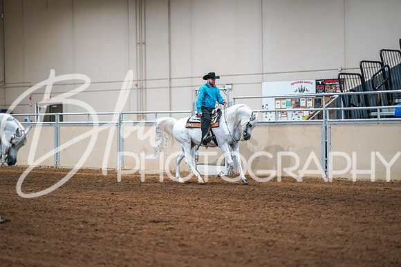 Aurora Show June 6, 2024  - 03806