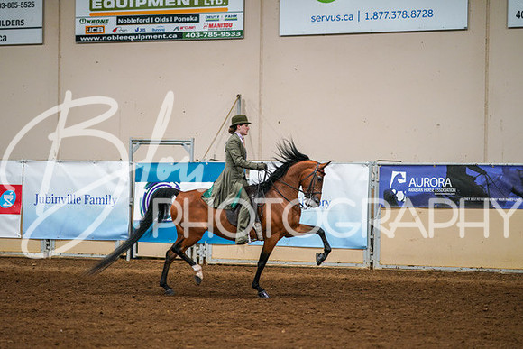 Aurora Show June 8, 2024  - 02578