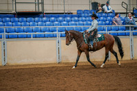 126a - Ranch Horse Rail Pleasure Junior