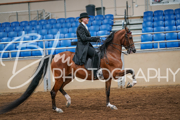 Aurora Show June 6, 2024  - 04841