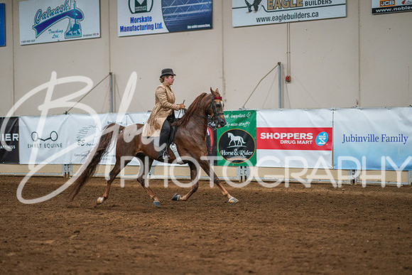 Aurora Show June 8, 2024  - 02592