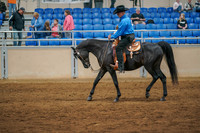 257 ARABIAN Western Pleasure Open